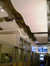 Additional Office Space